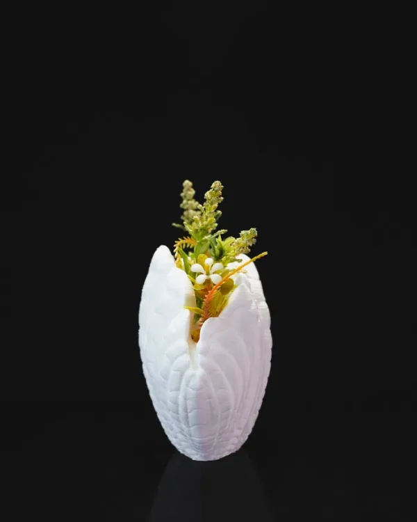 Vaza Shell Scoica - imagine 6