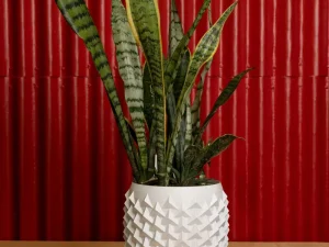 Vaza Pointy Flowerpot