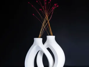 Vaza Modern