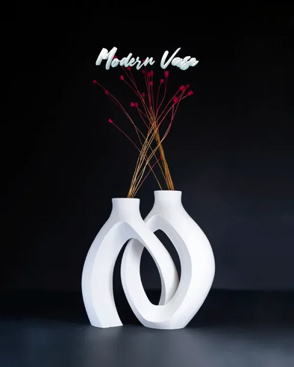 Vaza Modern