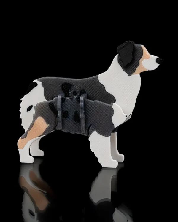 Australian Shepherd Kit Card - imagine 5