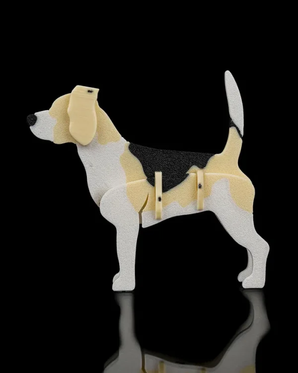 Beagle Kit Card - imagine 2