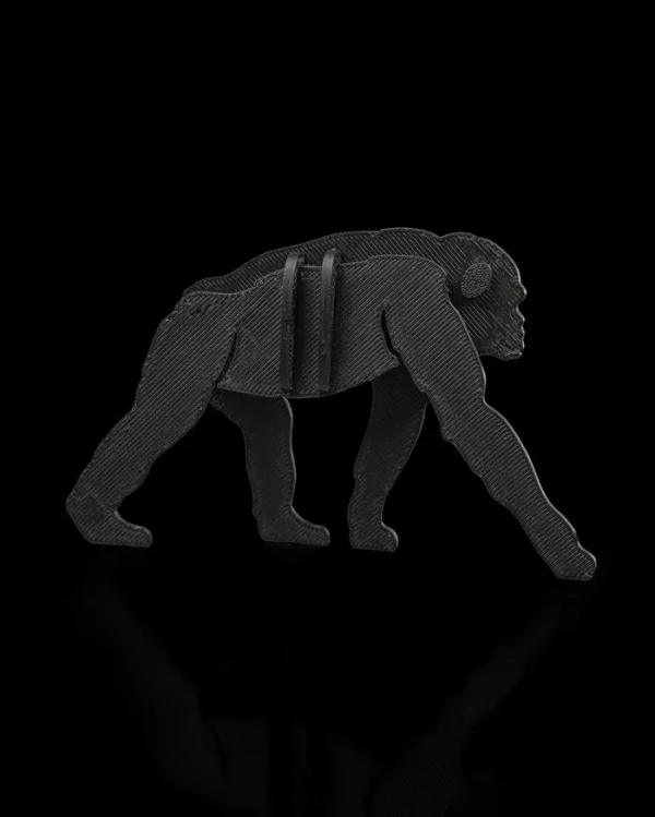 Bonobo Kit Card - imagine 6