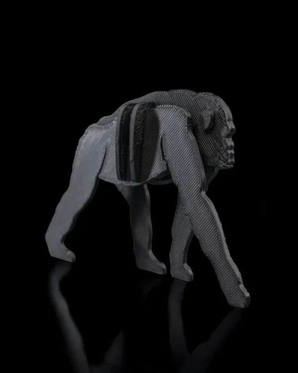 Bonobo Kit Card - imagine 5