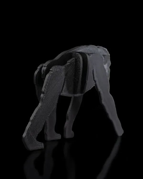 Bonobo Kit Card - imagine 4
