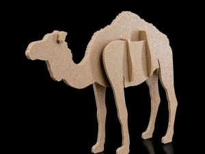 Camel Kit Card