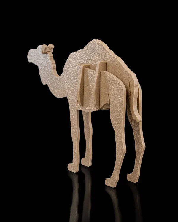 Camel Kit Card - imagine 2