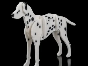 Dalmatian Kit Card