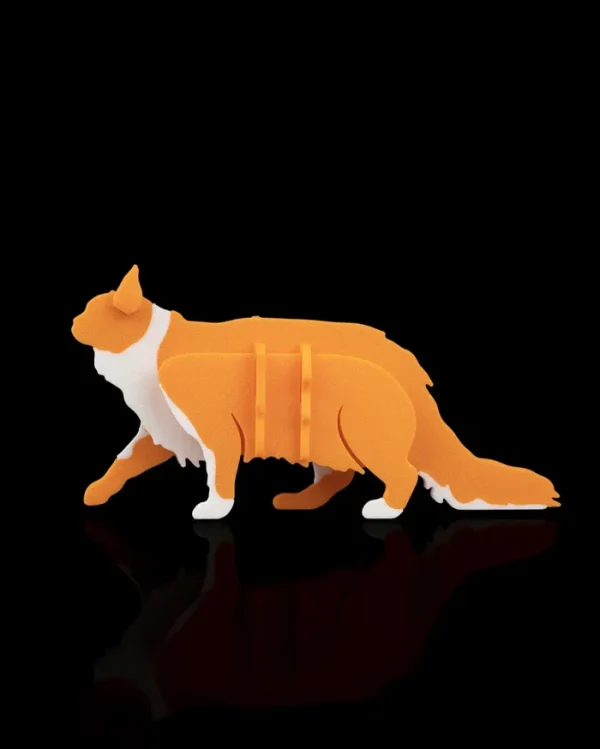 Maine Coon Kit Card - imagine 4
