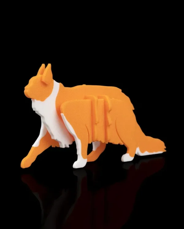 Maine Coon Kit Card