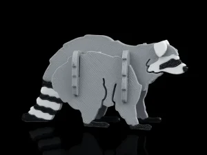 Racoon Walking Kit Card