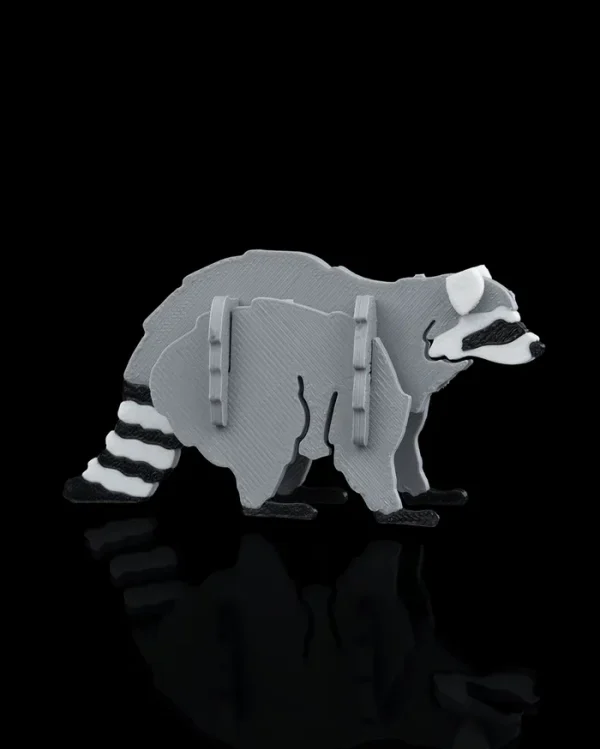 Racoon Walking Kit Card
